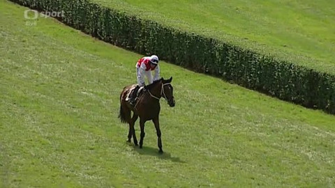 Jezdectví - II. kvalifikace na Velkou pardubickou 2014