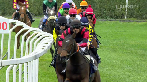 Dostihy - Cena prezidenta republiky