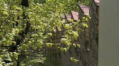 O češtině - 5. června 2011