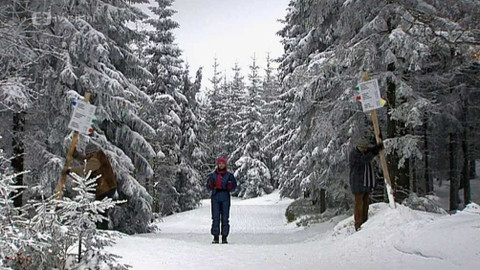 Trapasy - Přijďte pobejt