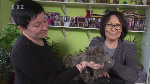 Chcete mě? - Chcete je?