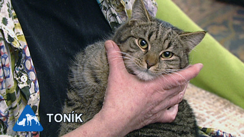 Chcete mě? - Chcete je?