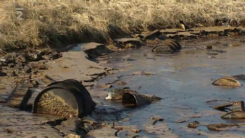 Nedej se! - Ekologická „megazakázka“