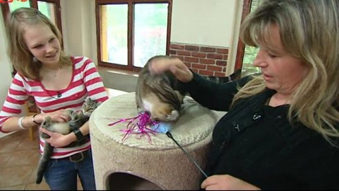 Náš zvěřinec - Šlechtici a pracanti