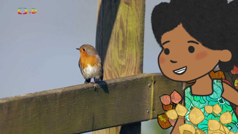 Velká kniha o zvířátkách - Epizoda 37/52