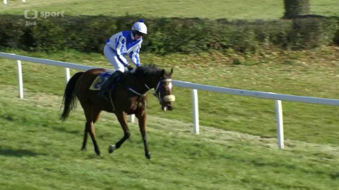 Dostihy - Velká slušovická steeplechase