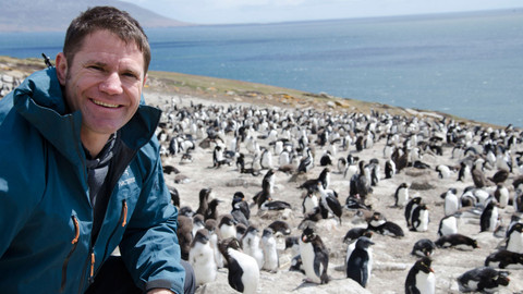 Zvířecí zabijáci od pólu k pólu - 27/31 Falklandy