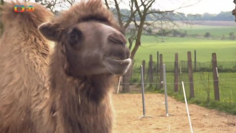 Náš zvěřinec - Zvířata se učí ráda