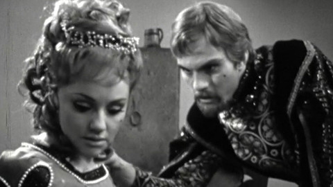 Norské pohádky - O divoké kachně