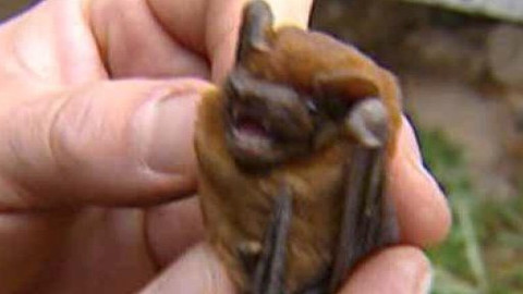 Chcete mě? - 2. dubna 2010