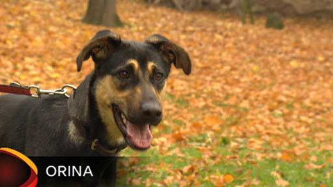 Chcete mě? - Chcete je?