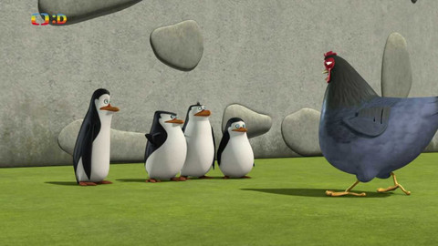 Tučňáci z Madagaskaru - Slepice ví nejvíce / Paličák a paličák