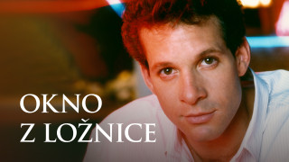Okno z ložnice