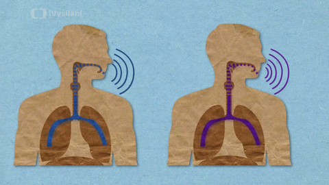 To je něco! - Proč máme po vdechnutí hélia tak vysoký hlas?