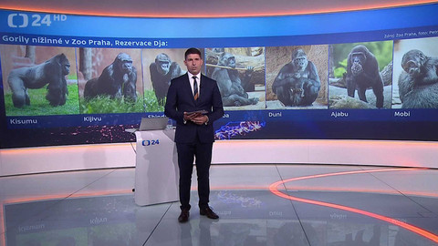 90’ ČT24 - Populární tlupa pražských goril se rozrůstá