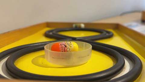 Tamtam - 18. října