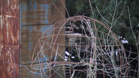 Nedej se! - Environmentálně citlivé univerzity