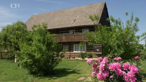 Toulavá kamera - 7. července 2019