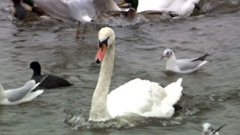 Chcete mě? - 13. února 2011