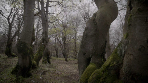 Kořeny lesa - Epizoda 6/40