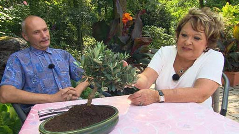 Hobby naší doby - Hobby naší doby - letní speciál