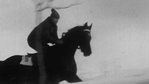 Archiv D - Taxis na nultém kilometru