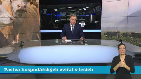 Události v regionech (Praha) - 17. prosince