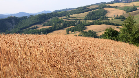 Vůně cizích krajů - Emilia-Romagna, srdce Itálie