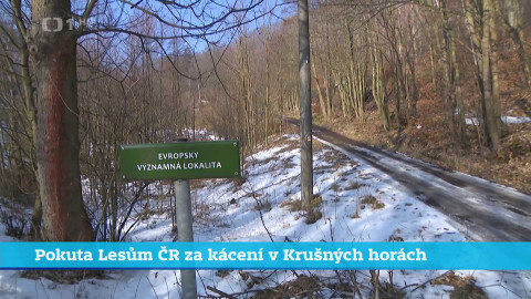 Události v regionech (sever a východ) - 4. února