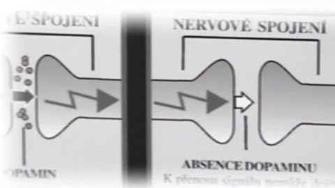 Tep 24 - 4. května 2013