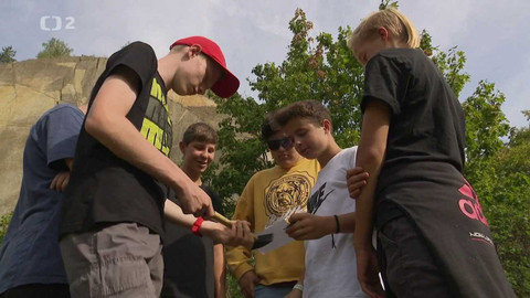 Nedej se! - Vzkvétající Koniklec