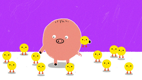 Naše prasátko - 20/52 Kuřátka