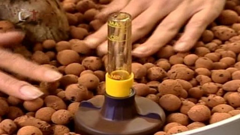 Zahrada je hra - 13. března 2008