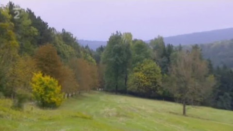 Nedej se! - Směna pozemků v oboře Radějov