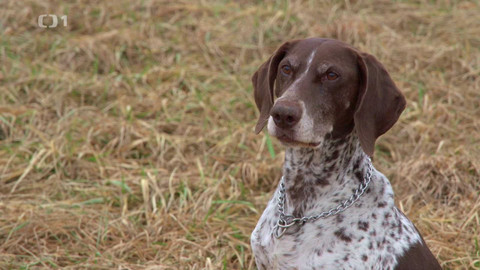 Máme rádi zvířata - 11. března 2024
