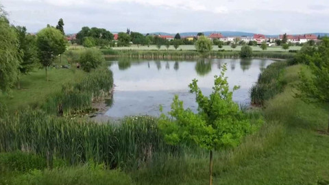 Regiony ČT24 - 18. června 2022