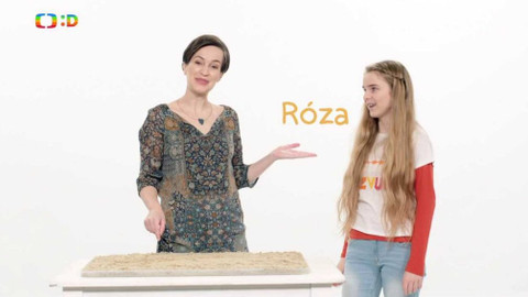 LOGOhrátky II - Cesta do země ticha