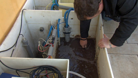 Nedej se! - Fosforgate