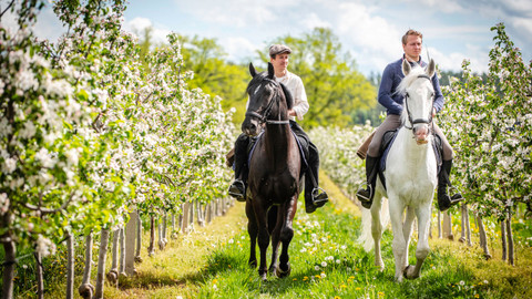 Českem na koňském hřbetu - 5/14 Palác pro koně