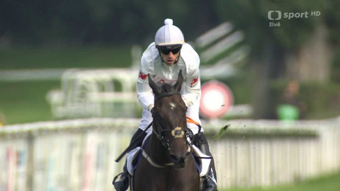 Dostihy - Cena města Pardubice