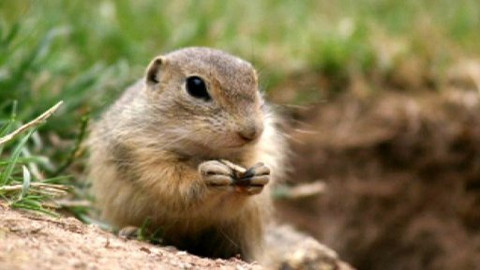 Chcete mě? - 15. května 2009