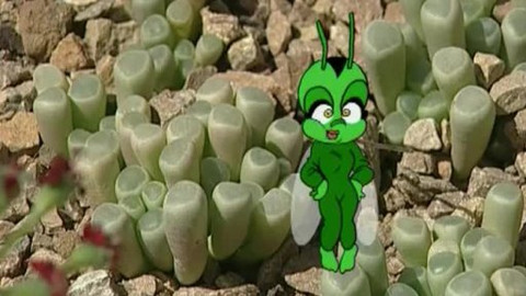 Pátrání světlušky Lucie - 27/40 Jak rostou rostliny