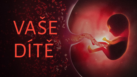 Vaše dítě