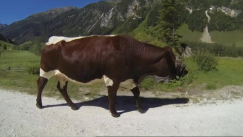 Náš zvěřinec - Terária Jiřího Bálka
