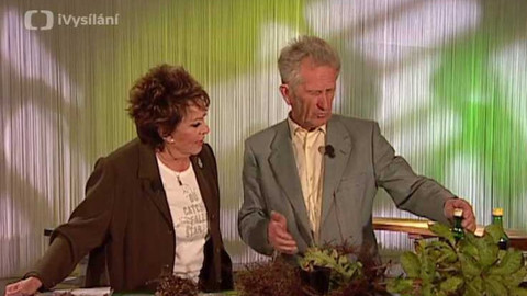 Dobrá rada nad zlato - 3. listopadu 2007