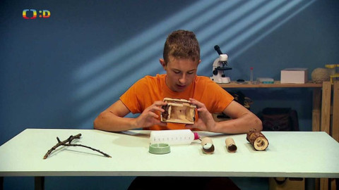 Terčin zvířecí svět - 6. listopadu 2020