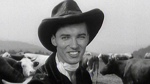 Roháčovy a Svitáčkovy písničky - Život je pes