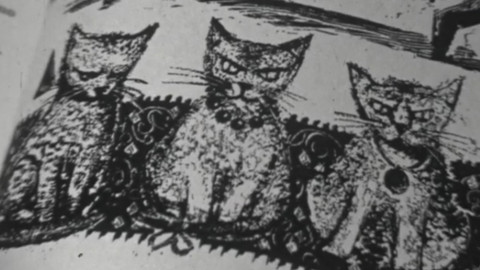 Vlaštovka - 24. února 1968