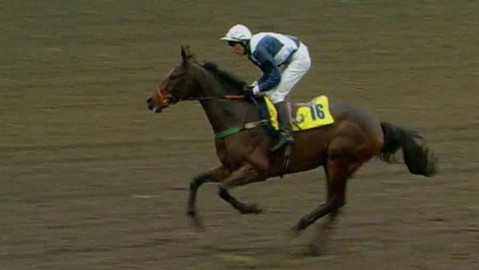 Velká pardubická - 1999