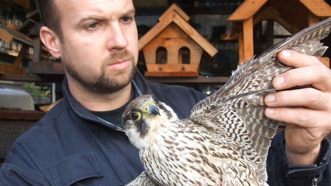 Chcete mě? - 28. února 2016